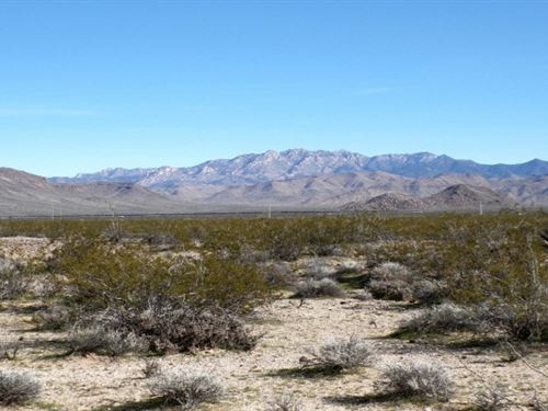 Off-Grid Desert Sanctuary Awaits : Golden Valley : Mohave County : Arizona