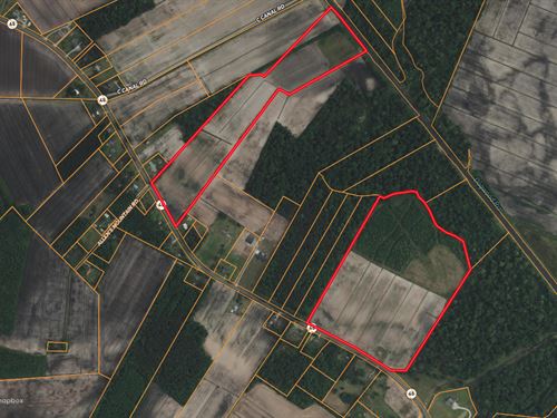70 Ac Hunting & Farm Land on Hwy 45 : Pantego : Beaufort County : North Carolina