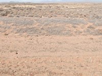 Don't Scroll Pass This Special Deal : San Luis : Costilla County : Colorado