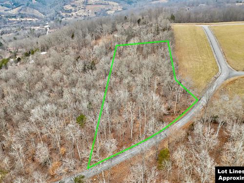 Norris Lake View Lot : New Tazewell : Claiborne County : Tennessee