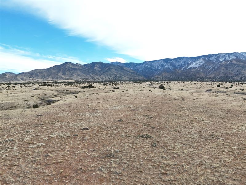 5 Acres of Quiet Desert Land : Belen : Valencia County : New Mexico