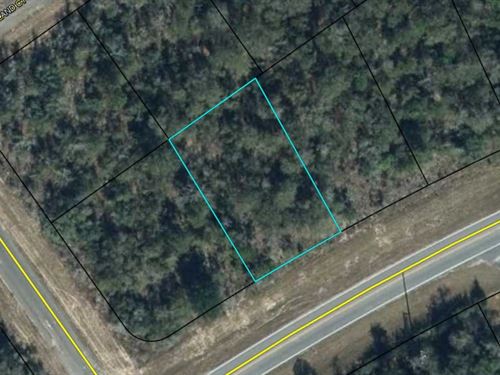 Invest in Fl's Wall of Opportunity : Chipley : Washington County : Florida