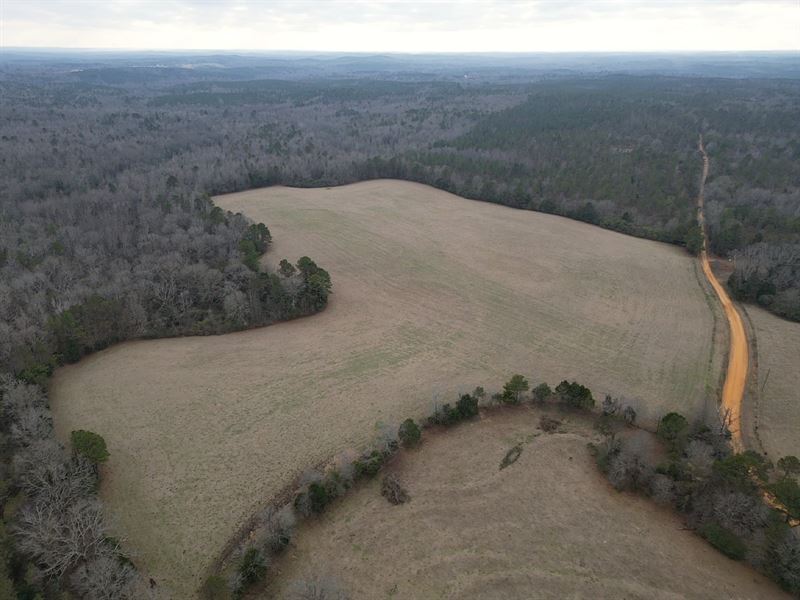 50 Acre Junkins Rd. South Tract : Kennedy : Fayette County : Alabama