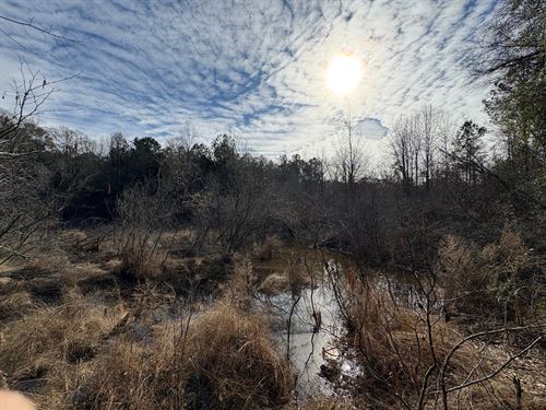 Ard Creek Tract : Red Level : Covington County : Alabama