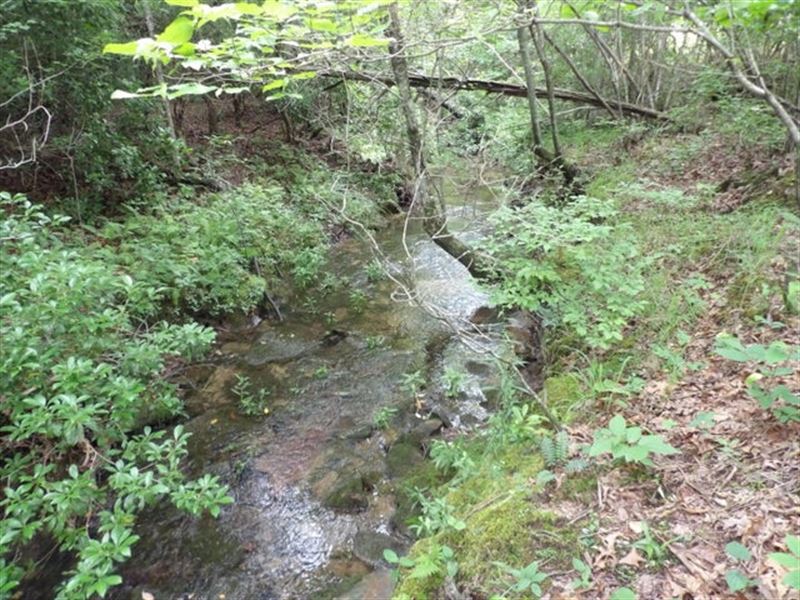 Views Creek Close to Paved Road : Evansville : Bledsoe County : Tennessee