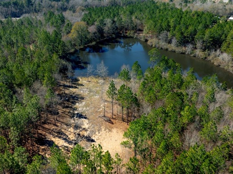 Sylvester Acres : Sylvester : Worth County : Georgia