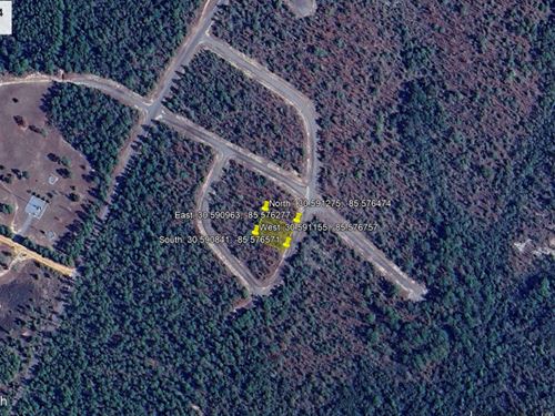 Elvis Has Not Left This Sunny Hills : Chipley : Washington County : Florida