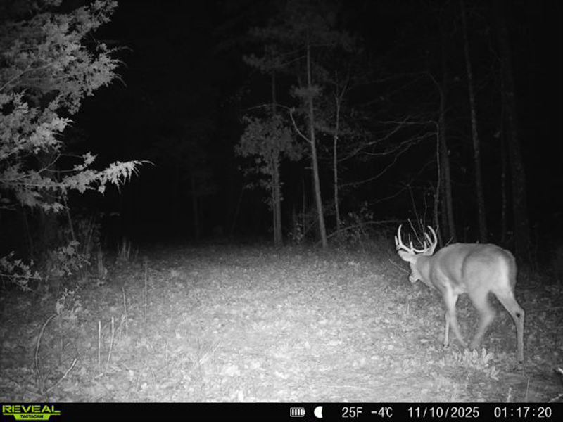 21 Highway : Ellington : Reynolds County : Missouri