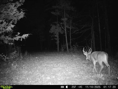 21 Highway : Ellington : Reynolds County : Missouri