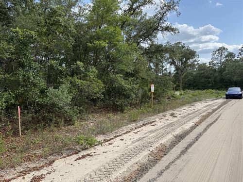 Prime Florida Lot, Easy to Build : Interlachen : Putnam County : Florida