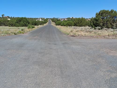 Rare Twin Lots Near Concho Shops : Concho : Apache County : Arizona