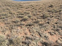 Stop Renting Life Away : San Luis : Costilla County : Colorado