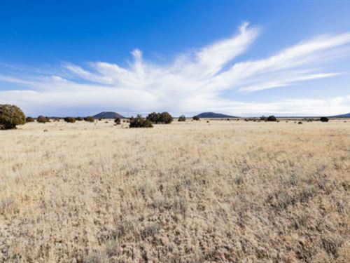 Want to Escape The World : Ramah : Cibola County : New Mexico