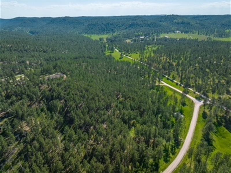 Black Hills Custer Land : Custer : Custer County : South Dakota