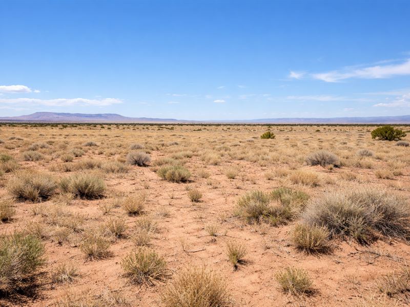 1.26 Acres of Usable Desert Land : Sun Valley : Navajo County : Arizona