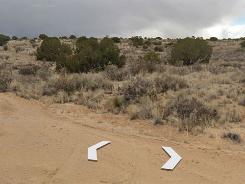 Near Multiple Parks and Albuquerque : Rio Rancho : Sandoval County : New Mexico