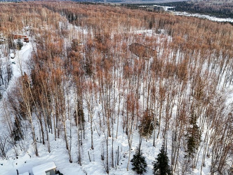 White Knight : Houston : Matanuska-Susitna Borough : Alaska