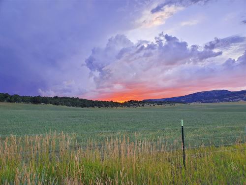 Strawberry Hunting And Ag Ranch : Meeker : Rio Blanco County : Colorado