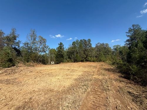 158.51 Acres in Decatur County, TN : Decaturville : Decatur County : Tennessee