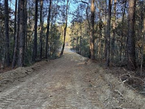 Barlow Community 50 Acres : Millry : Washington County : Alabama