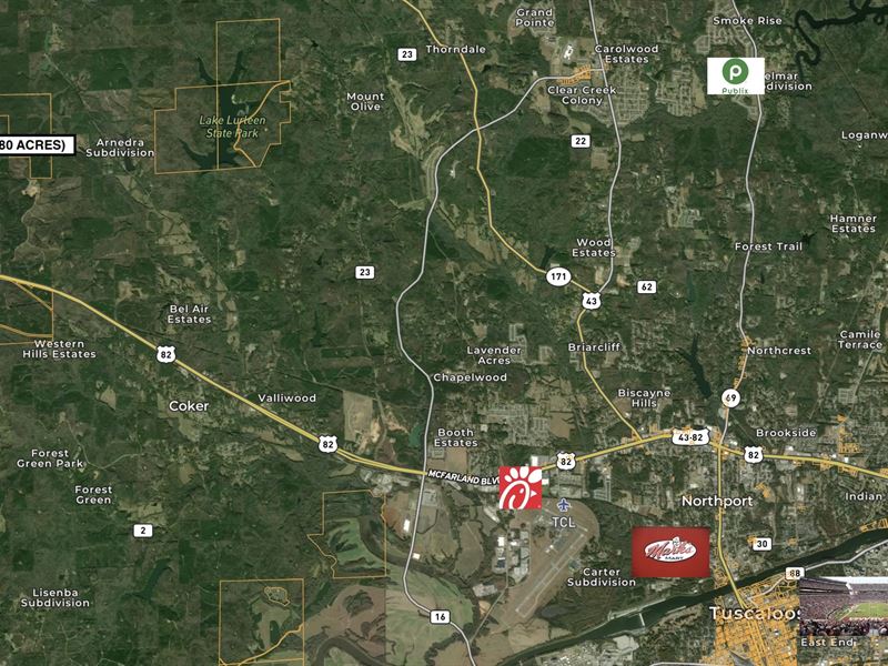 80 Acres for Sale Near Northport AL : Buhl : Tuscaloosa County : Alabama