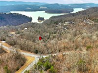 Wooded Lot + Norris Lake Access : New Tazewell : Claiborne County : Tennessee