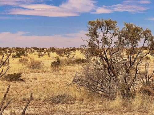 Where Your Texas Adventure Begins : Sierra Blanca : Hudspeth County : Texas