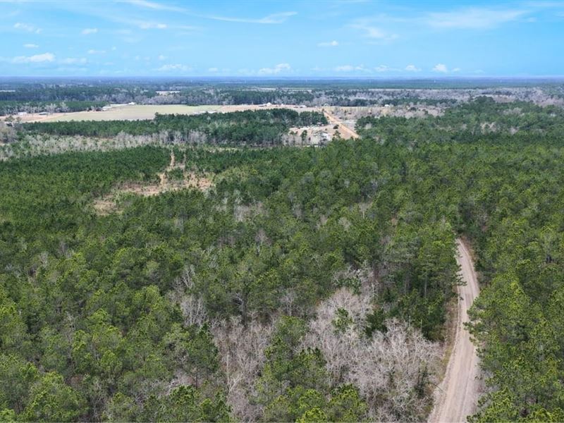 Wheaton Road Country Homesite, 15 : Odum : Wayne County : Georgia