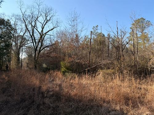 12.2 Acres Hazlehurst : Hazlehurst : Copiah County : Mississippi