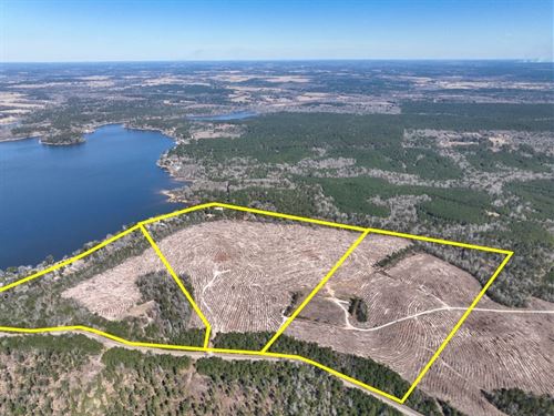 51 Acres, T-3, County Road 2140 : Crockett : Houston County : Texas