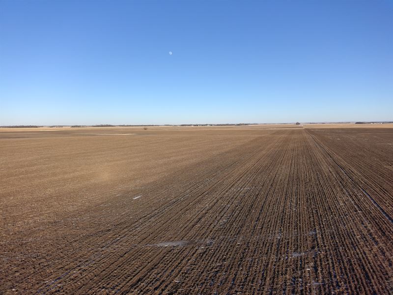 158 Acres, Brown County, South : Groton : Brown County : South Dakota