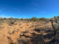 No HOA. No Neighbors. Just Desert : Tucson : Pima County : Arizona