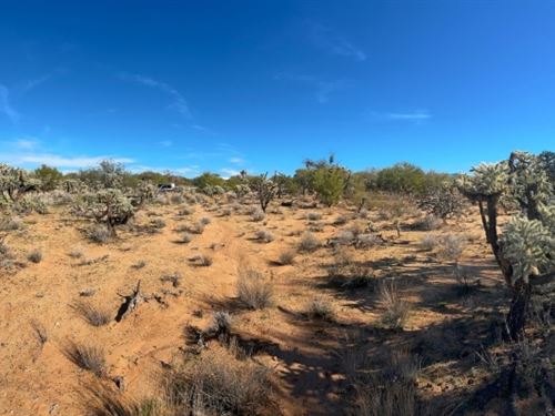 No HOA. No Neighbors. Just Desert : Tucson : Pima County : Arizona