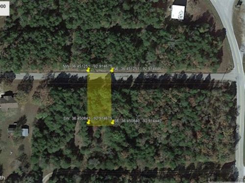 Bigger Boats or Bigger Dreams : Diamond City : Boone County : Arkansas