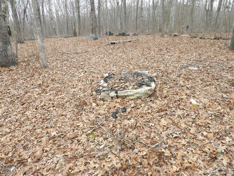 Level with Driveway and Spot Clear : Crossville : Bledsoe County : Tennessee