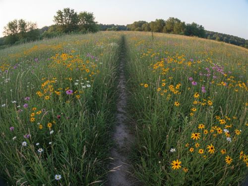 4.53 Acres in Glenpool, OK : Glenpool : Tulsa County : Oklahoma