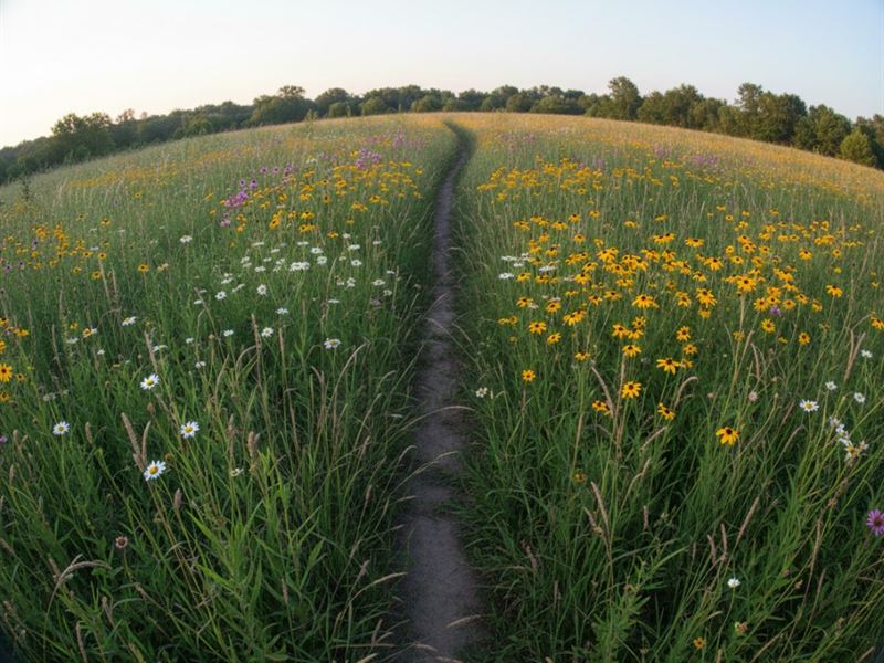 6.02 Acres in Glenpool, OK : Glenpool : Tulsa County : Oklahoma