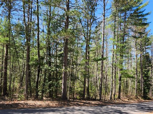 Heavily Wooded Parcel : Lac Du Flambeau : Vilas County : Wisconsin