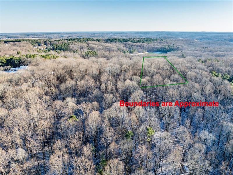 Peaceful Vacant Acreage, Tract 3 : Siler City : Chatham County : North Carolina