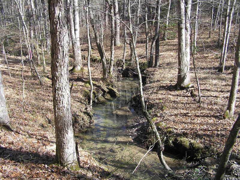 Creek, Woods, Private, 6 Parcels : Spencer : Van Buren County : Tennessee