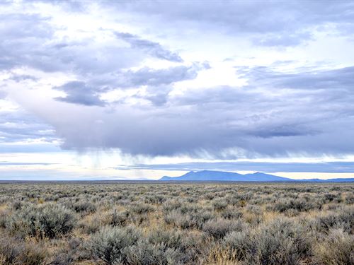 .74 Acre of Wide-Open Freedom : Belen : Valencia County : New Mexico