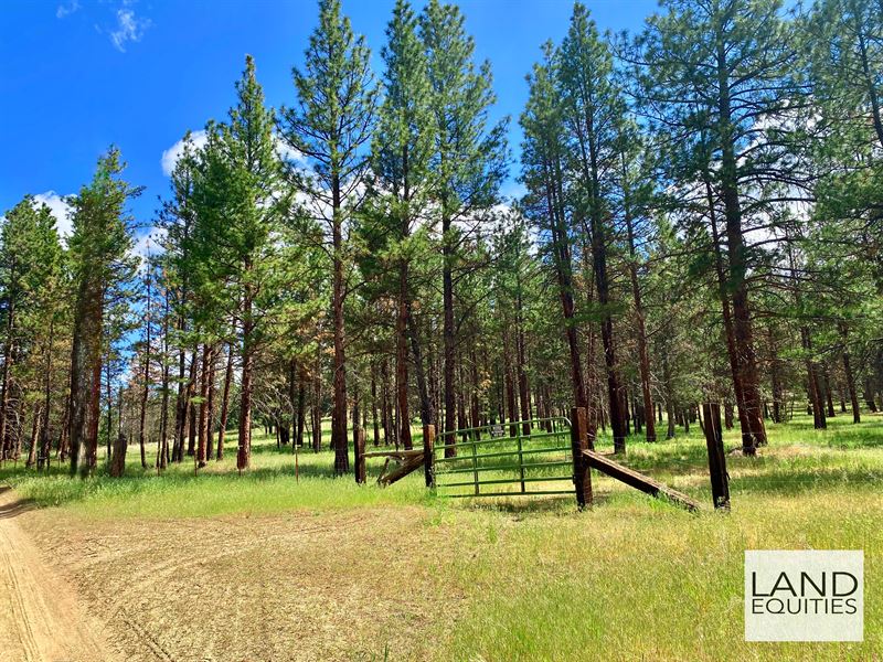 The Perfect 20 Acre Horse Property : Beatty : Klamath County : Oregon