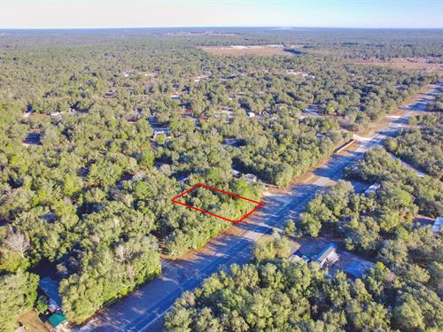 Discover Your Florida Paradise : East Bronson : Levy County : Florida