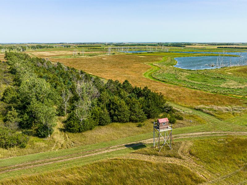 South Dakota Pheasant Acres West : Armour : Charles Mix County : South Dakota