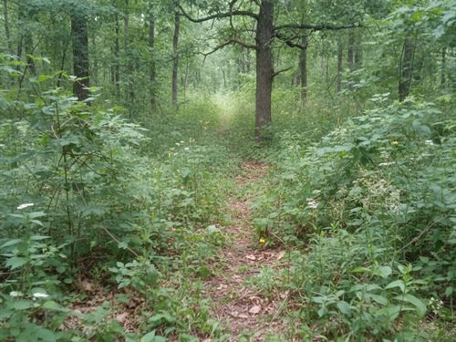 Wooded Acres in Hart County, KY : Munfordville : Hart County : Kentucky