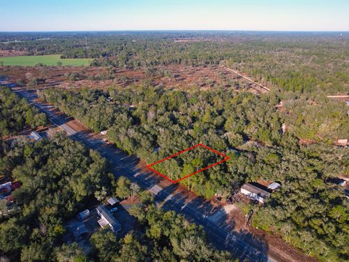 Your Gateway to Florida Living : East Bronson : Levy County : Florida