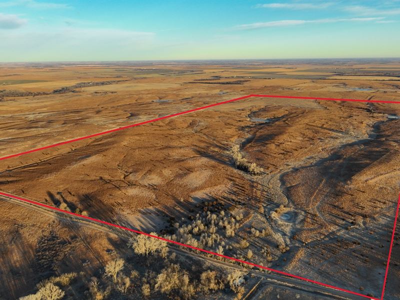 Kingman Prairie Reserve : Cunningham : Kingman County : Kansas