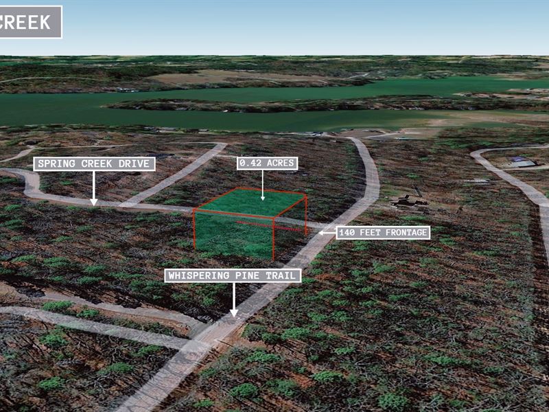 .42 Acre in Mount Vernon, $200/Mo : Mount Vernon : Franklin County : Texas