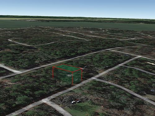 .19 Acre Near Trinity River, Pave : Trinity : Texas