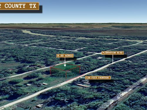 .33 Acre in Trinity, $200/Mo : Trinity : Walker County : Texas